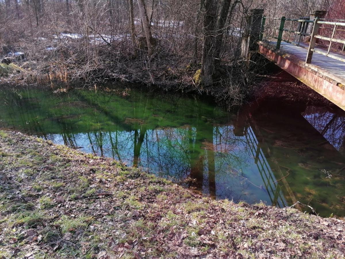 Ferienwohnung Resi Mit Traumhaftem Seepanorama Steindorf am Ossiacher See Exteriör bild