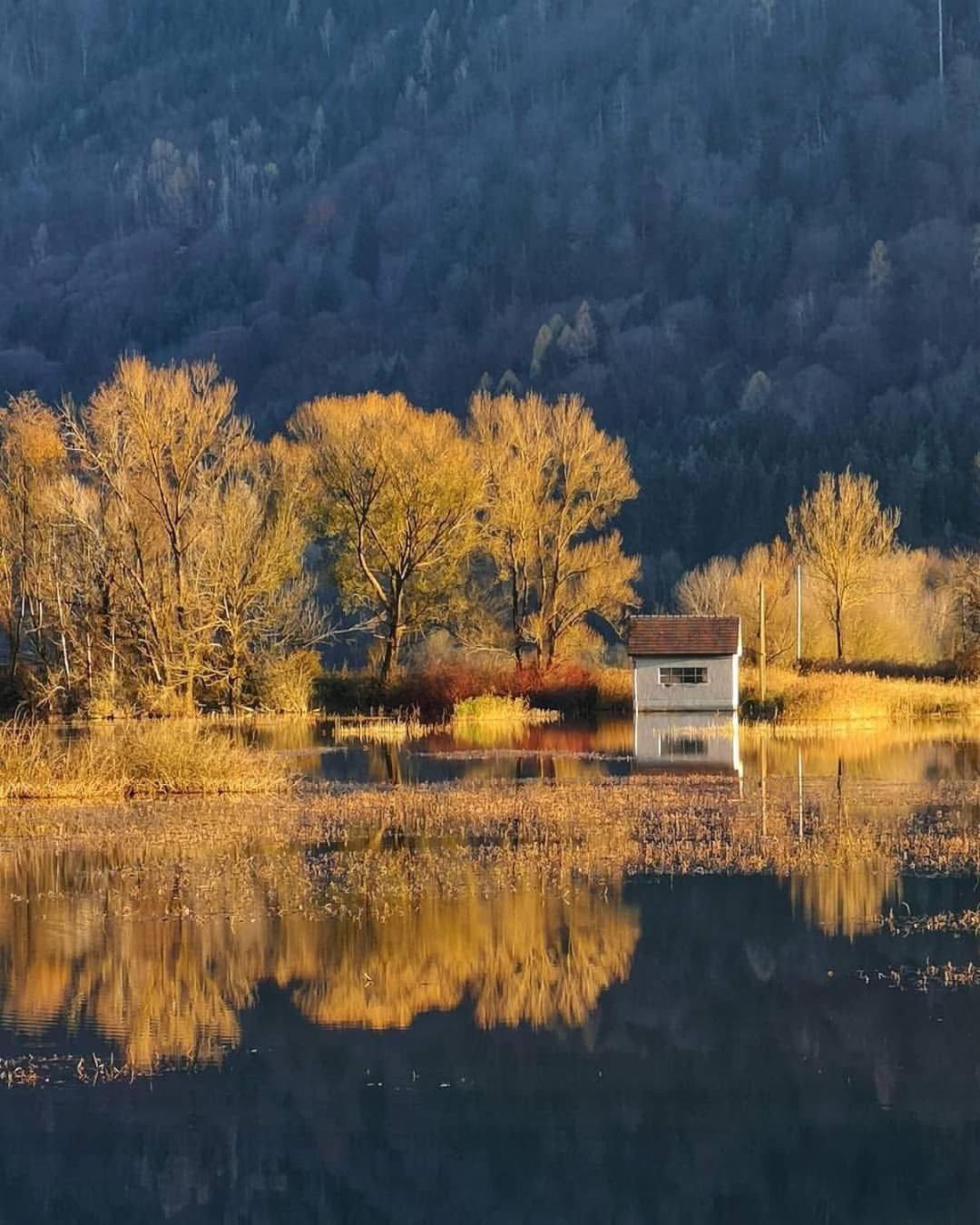Ferienwohnung Resi Mit Traumhaftem Seepanorama Steindorf am Ossiacher See Exteriör bild