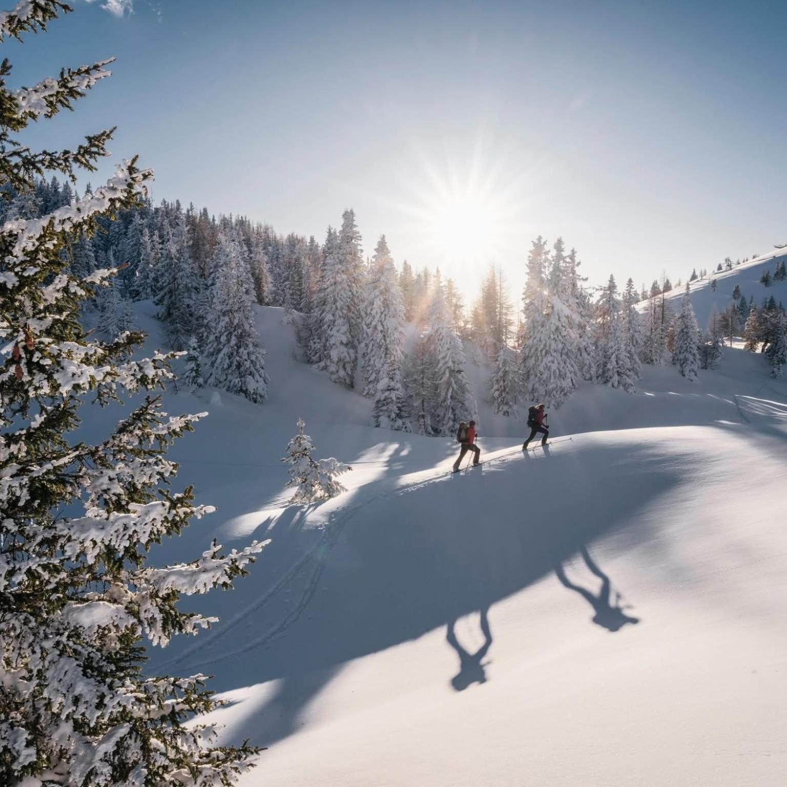 Ferienwohnung Resi Mit Traumhaftem Seepanorama Steindorf am Ossiacher See Exteriör bild