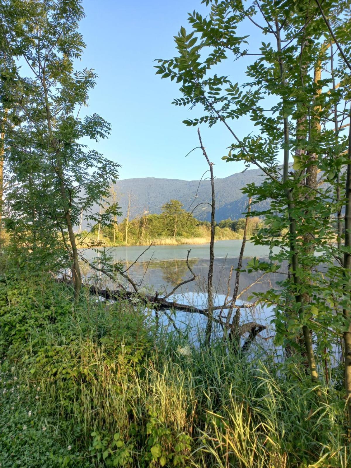Ferienwohnung Resi Mit Traumhaftem Seepanorama Steindorf am Ossiacher See Exteriör bild