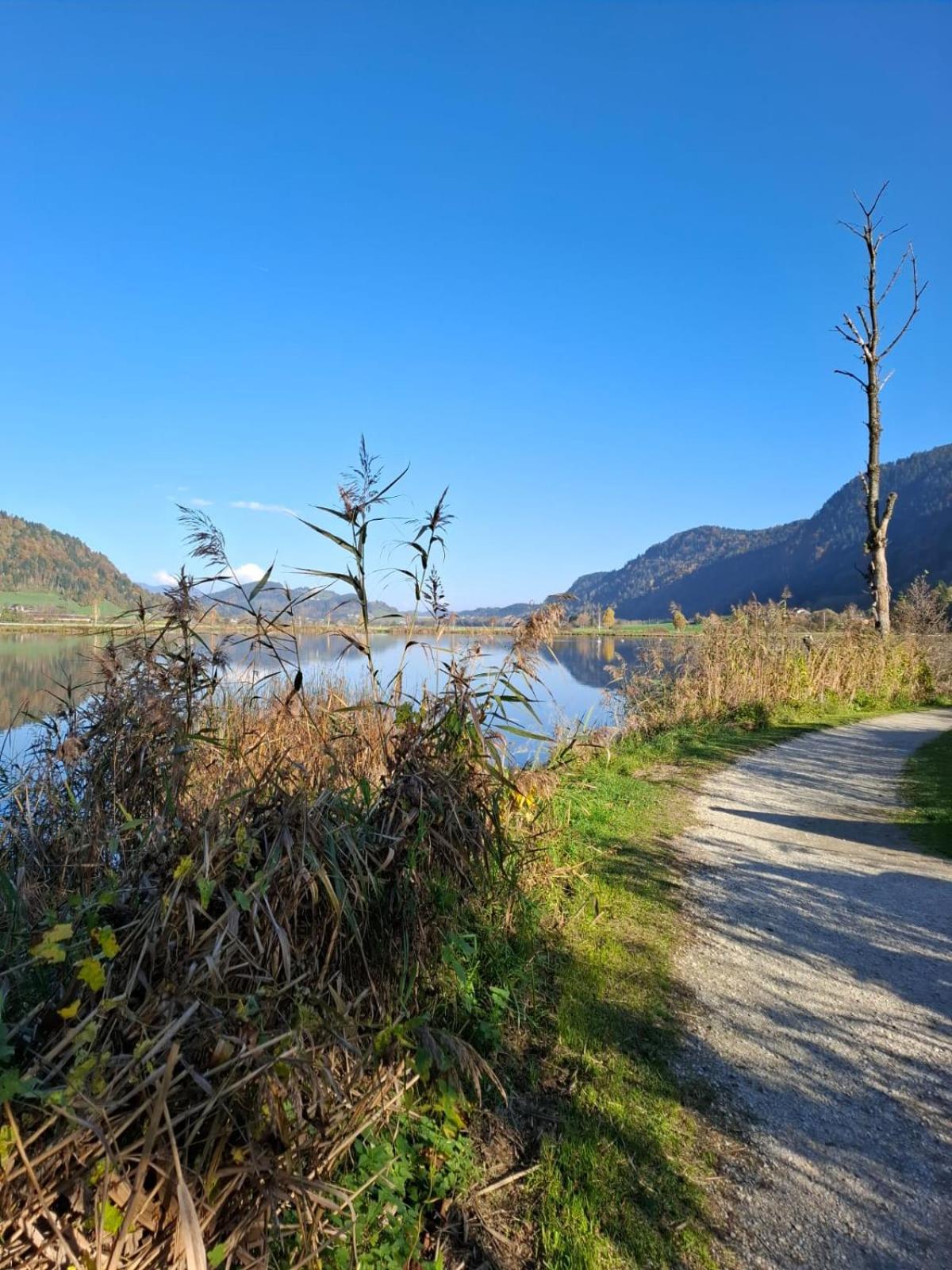 Ferienwohnung Resi Mit Traumhaftem Seepanorama Steindorf am Ossiacher See Exteriör bild