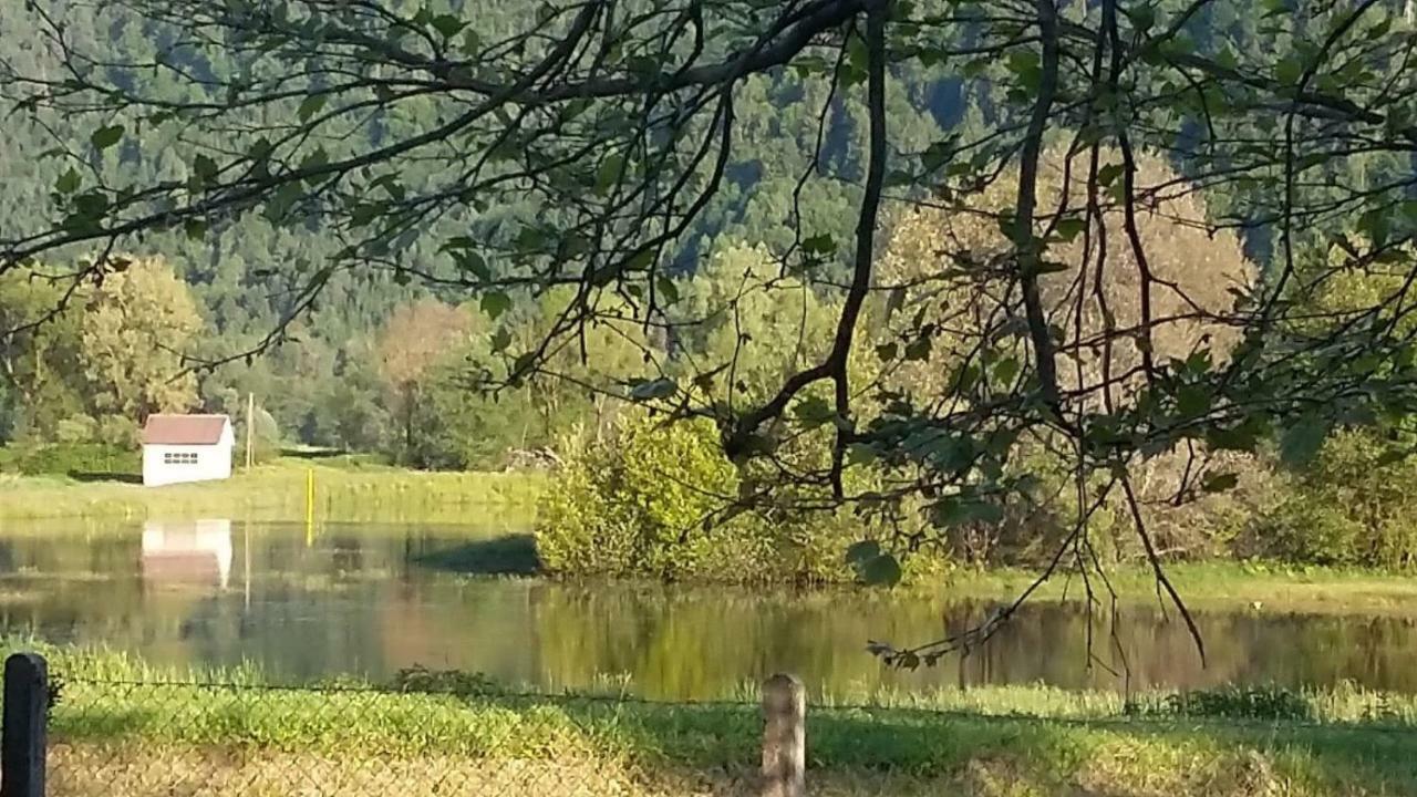 Ferienwohnung Resi Mit Traumhaftem Seepanorama Steindorf am Ossiacher See Exteriör bild