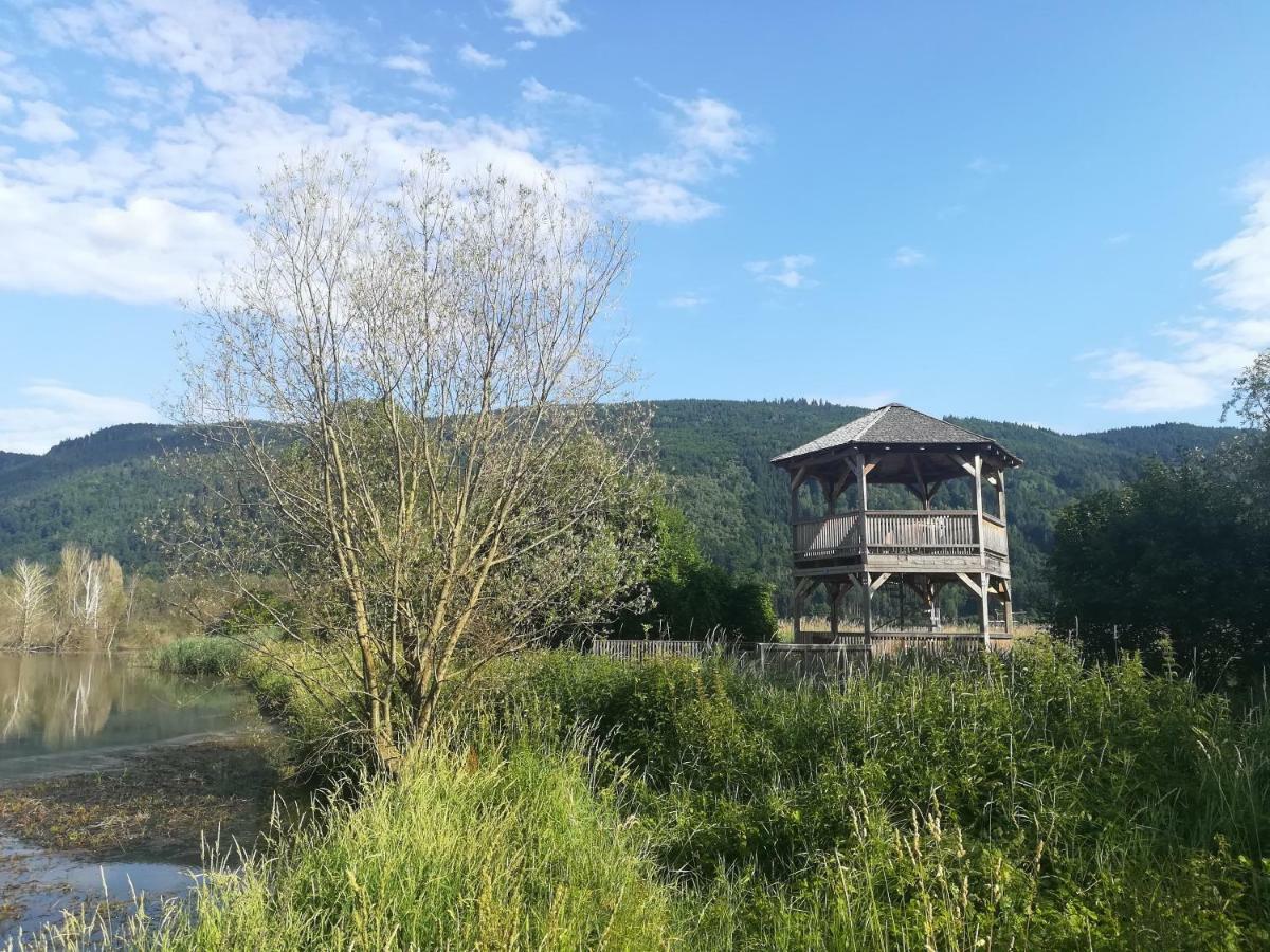 Ferienwohnung Resi Mit Traumhaftem Seepanorama Steindorf am Ossiacher See Exteriör bild