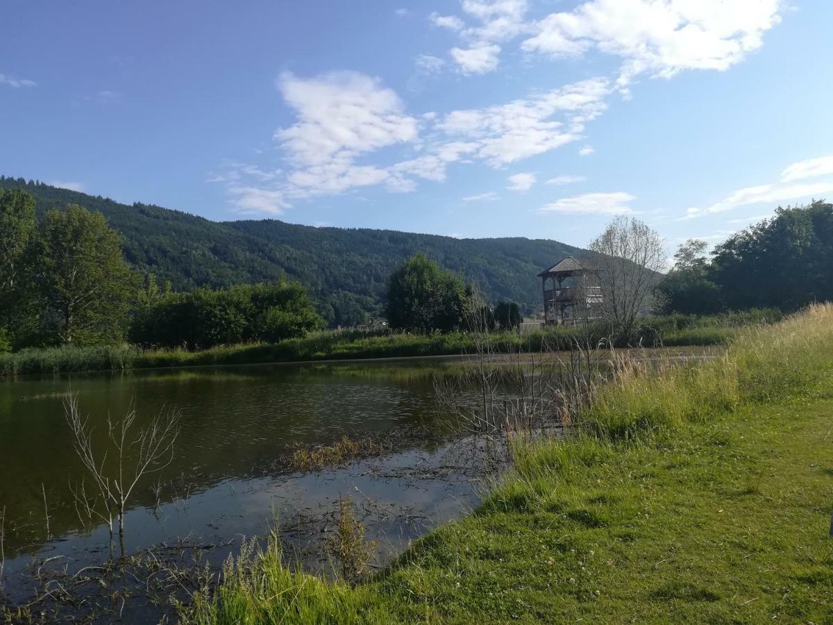 Ferienwohnung Resi Mit Traumhaftem Seepanorama Steindorf am Ossiacher See Exteriör bild